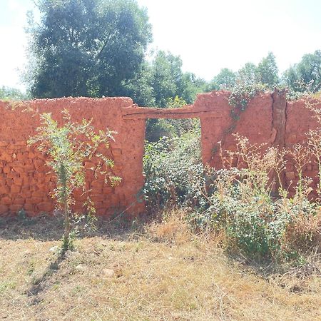 Apartamento Marcajada リアサ エクステリア 写真